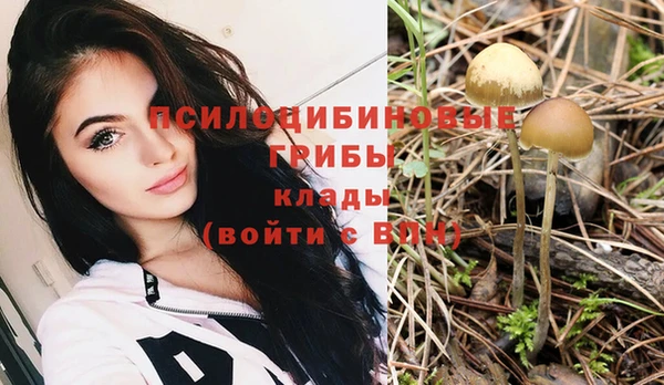 наркотики Бородино